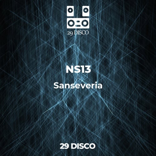 NS13-Sanseveria