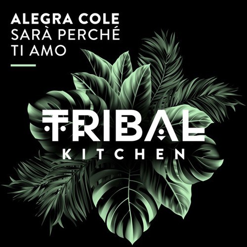 Alegra Cole-Sarà Perché Ti Amo (Extended Mix)