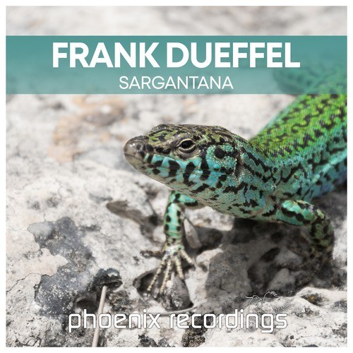 Frank Dueffel-Sargantana