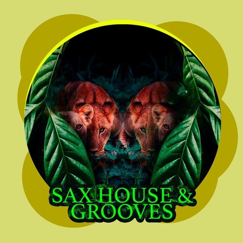 Jason Rivas, Positive Feeling, Try Ball 2 Funk, Elekplunkinkantk, Background Electric, Vacile Beat, Simsoneria-Sax House & Grooves