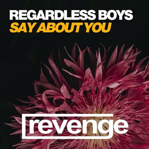 Regardless Boys-Say About You