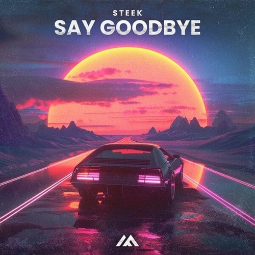 Steek-Say Goodbye