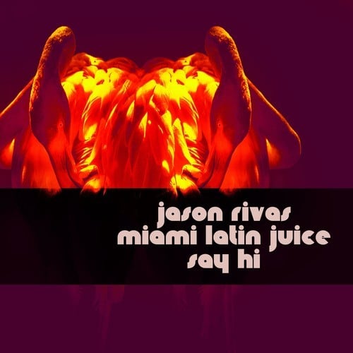 Jason Rivas, Miami Latin Juice-Say Hi