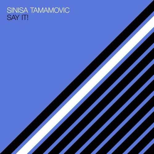 Sinisa Tamamovic-Say It!