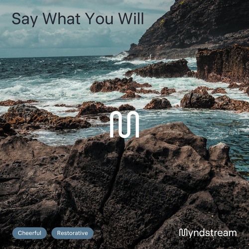 Myndstream-Say What You Will