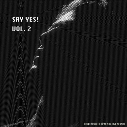 Various Artists-Say Yes! - Deep House Electronica Dub Techno, Vol. 2