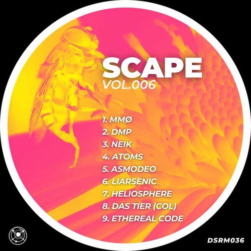 Various Artists-Scape, Vol. 006