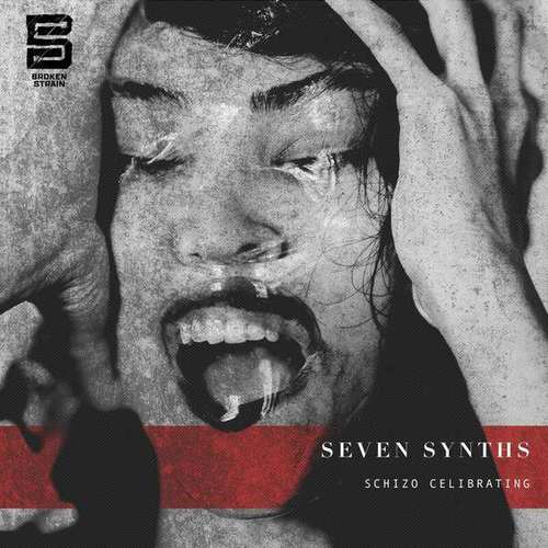 Seven Synths-Schizo Celebrating EP