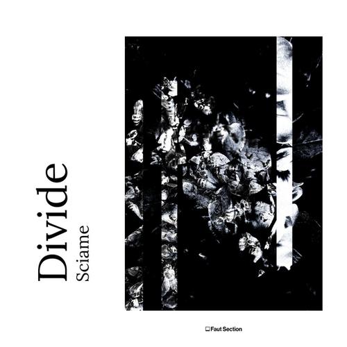 Divide-Sciame