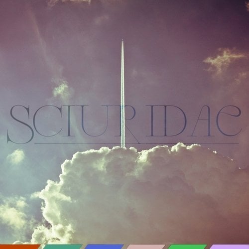 \\\Sciuridae///