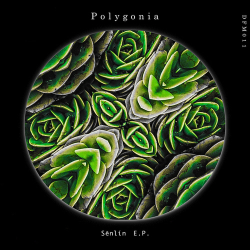 Polygonia-Sēnlín