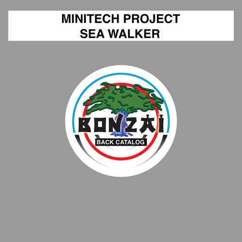 Minitech Project-Sea Walker