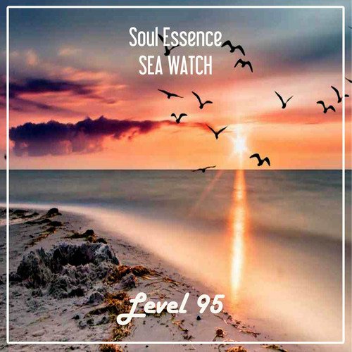 Soul Essence-Sea Watch