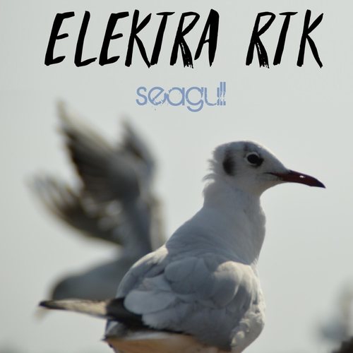 Elektra-RTK-Seagull
