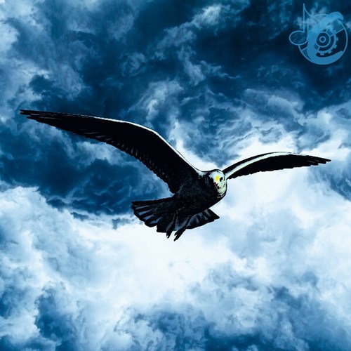 Clockworkk-Seagull In The Storm