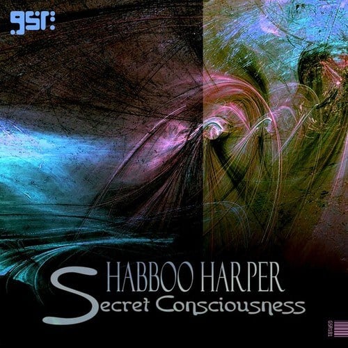 Shabboo Harper-Secret Consciousness