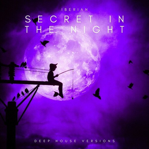 Secret in the Night (Deep House)