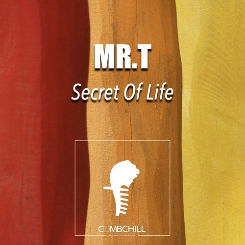 Mr. T-Secret of Life