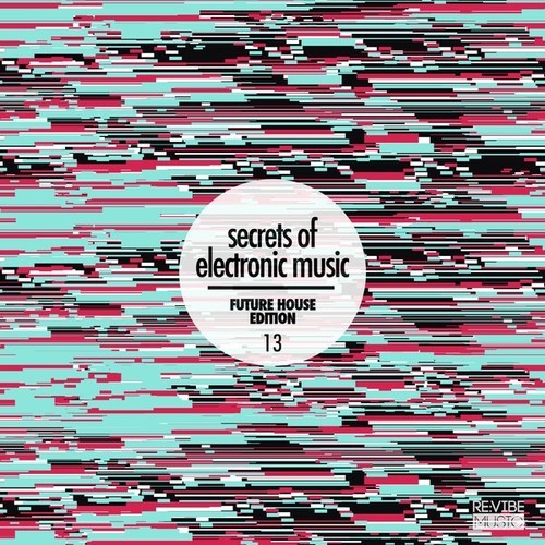 Various Artists-Secrets of Electronic Music - Future House Edition #13