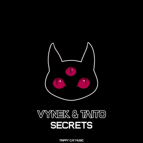 Vynek, Taito-Secrets