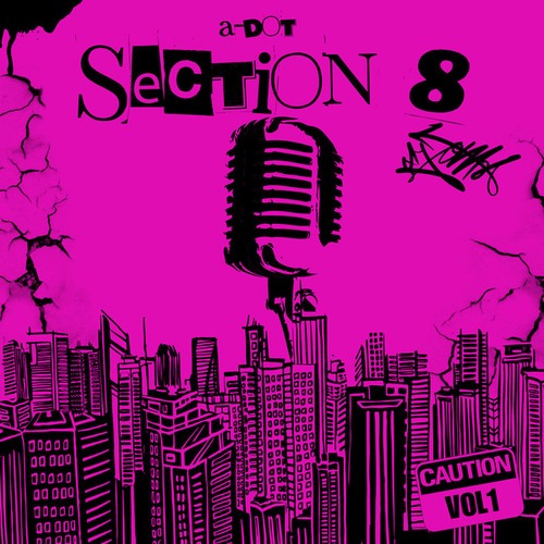 Section 8