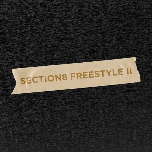 Choo-Section8 Freestyle II