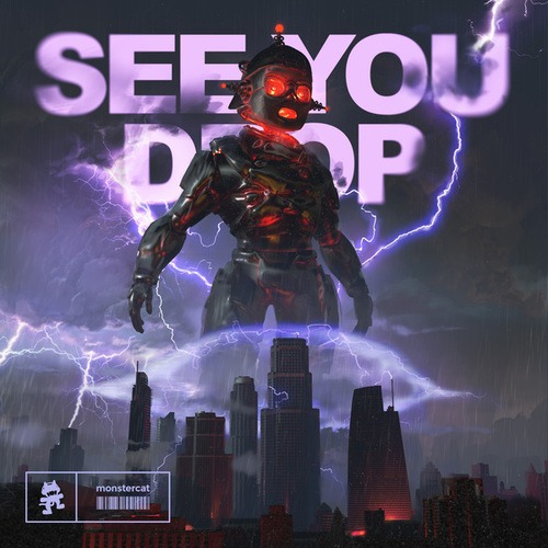 Ray Volpe-SEE YOU DROP