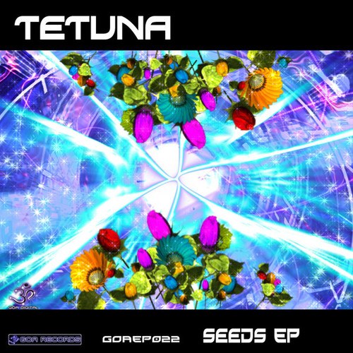 Tetuna, Virtual Light-Seeds