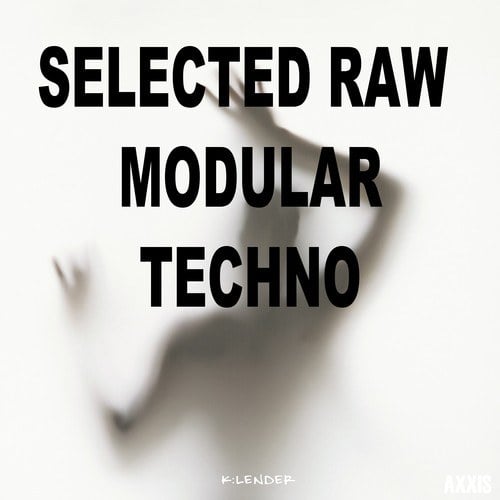 Various Artists-Selected Raw Modular Techno