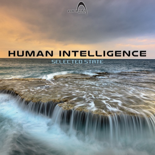 Human Intelligence-Selected State