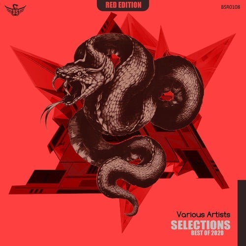 Various Artists-Selections - Best of 2020
