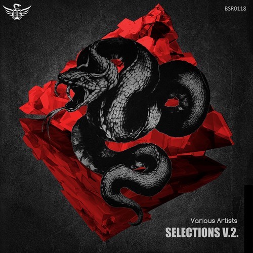 Various Artists-Selections V2