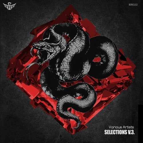 Various Artists-Selections V3