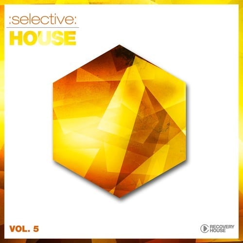 Various Artists-Selective: House, Vol. 5