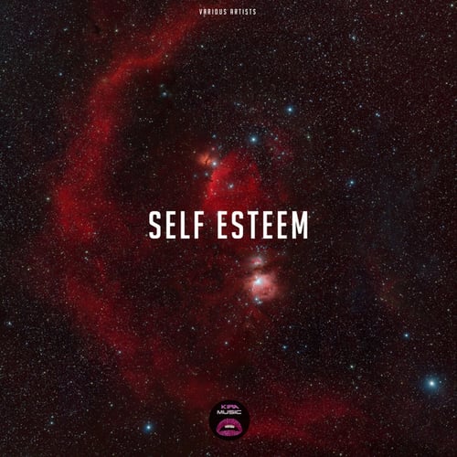 Various Artists-Self Esteem