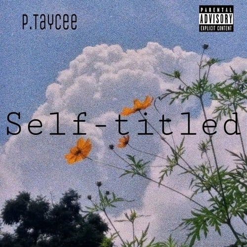 P. TayCee-Self titled