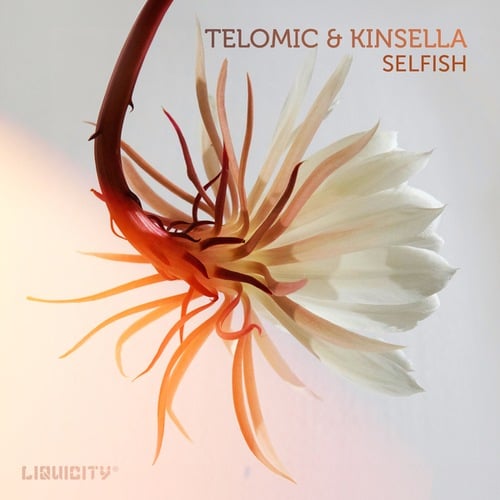 Telomic, Kinsella-Selfish