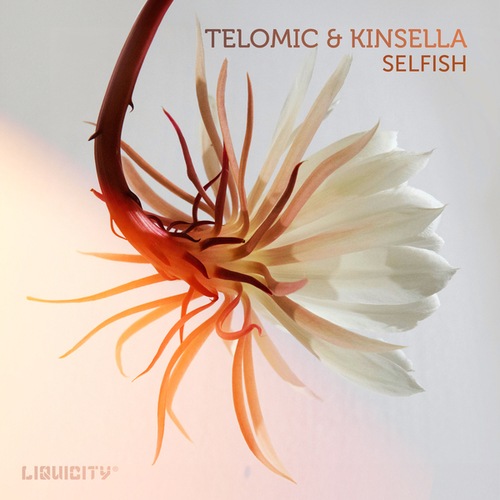 Telomic, Kinsella-Selfish