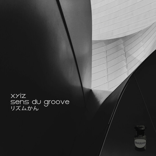 Xyiz-Sens Du Groove