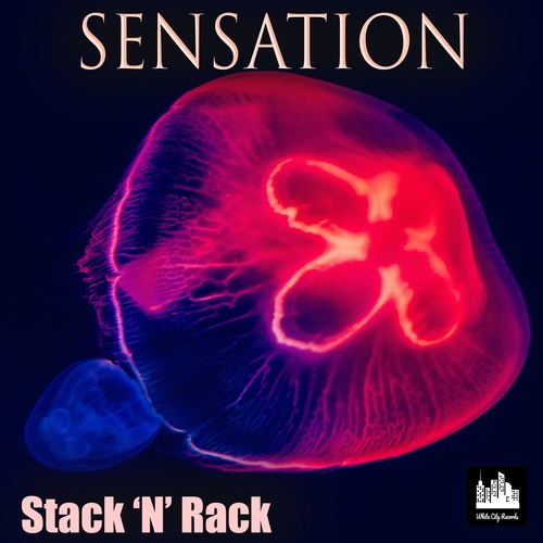 Stack 'N' Rack-Sensation