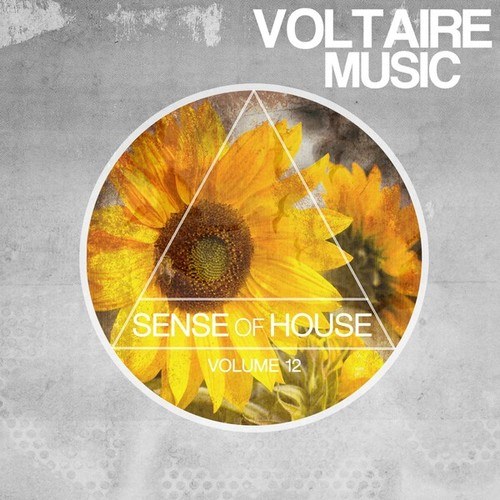 Various Artists-Sense of House, Vol. 12