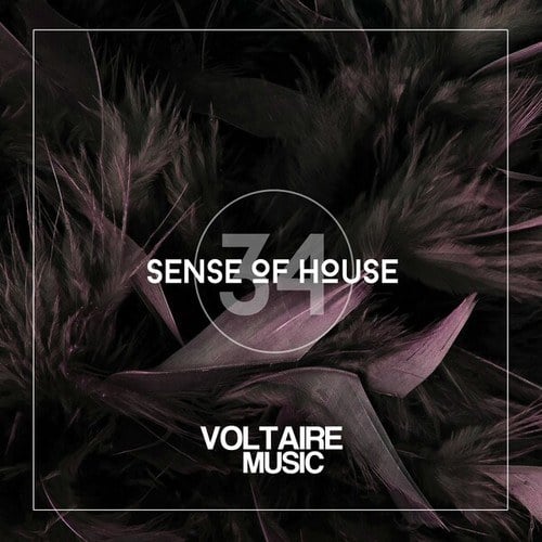 Various Artists-Sense of House, Vol. 34