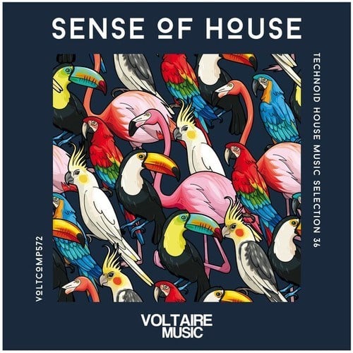 Various Artists-Sense of House, Vol. 36