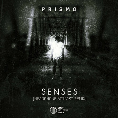 Senses