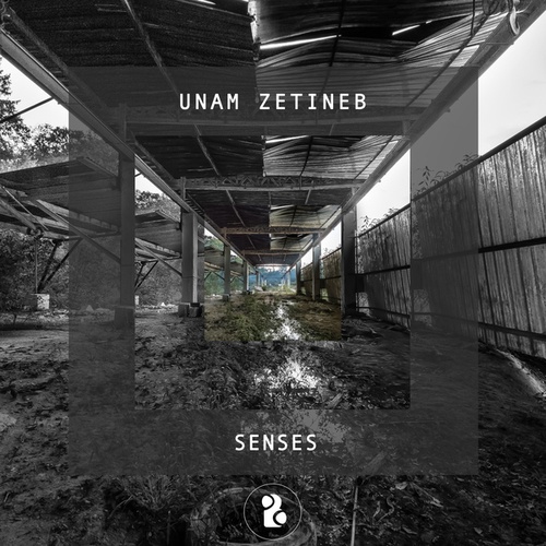 Unam Zetineb-Senses