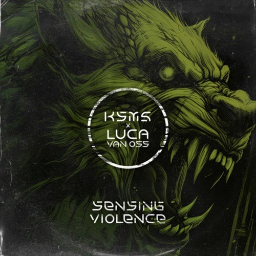 Luca Van Oss, KSMS-Sensing Violence