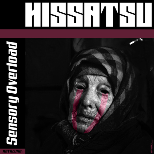 HISSATSU-Sensory Overload