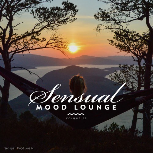 Various Artists-Sensual Mood Lounge, Vol. 25