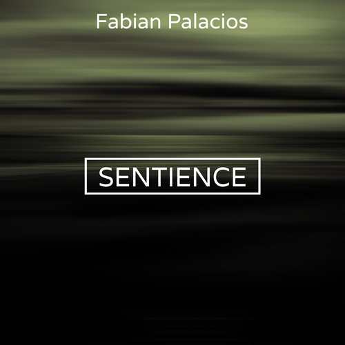 Fabian Palacios-Sentience