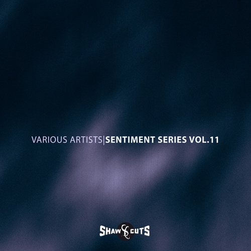 Various Artists-Sentiment Series Vol.11